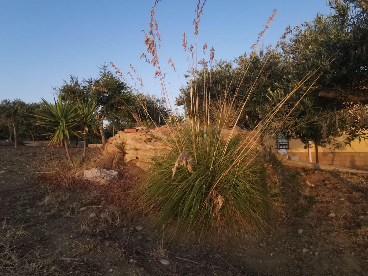 הוילה מונטאלגרו Sole Terra E Mare Casa Chiara מראה חיצוני תמונה